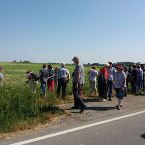 Eine Gruppe Menschen steht auf einem Feld bei Sonnenschein