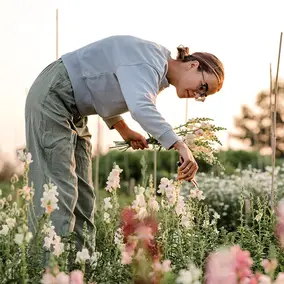 Eine junge Frau schneidet Blumen auf dem Feld