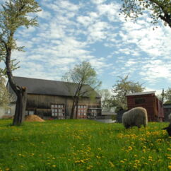 Blick über den Hof