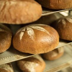 Bio Brot auf einem Backrost