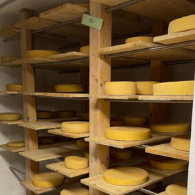 Bio-Käse