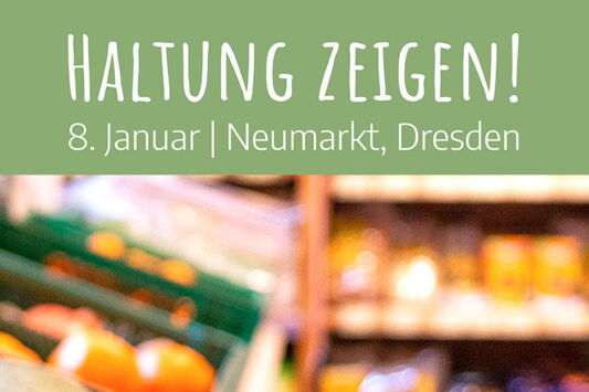 Ein grünes Banner mit der Aufschrift Haltung Zeigen! 8. Januar Neumarkt, Dresden