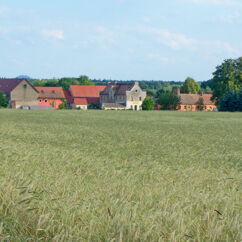 Gut Krauscha im Sommer bei Sonnenschein