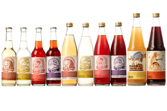 Bio-Limonade und Punsch von zickzack Kollektiv