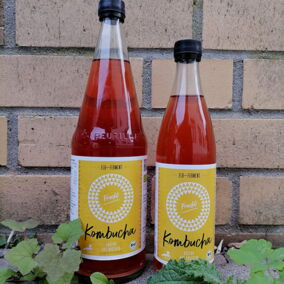 Zwei Flaschen Frucht-Kombucha von Elb-Ferment stehen vor einer Ziegelwand