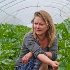 Katrin Leipacher im Folienzelt, inmitten von Zucchinipflanzen