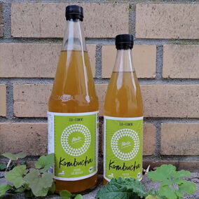 Zwei Flaschen Mate-Kombucha von Elb-Ferment stehen vor einer Ziegelwand