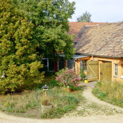 Blick über den Hof