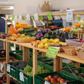 Bio-Gemüse und Obst im Biomarkt Jahnstraße