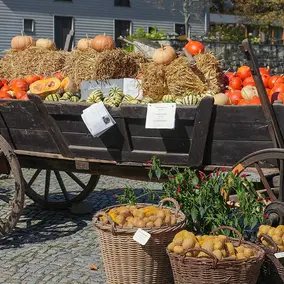 Kürbisse und Kartoffeln auf einem Wagen