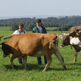 Eva und Bernhard Steinert mit Kühen auf der Weide