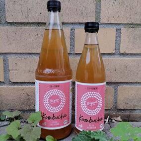 Zwei Flaschen Original-Kombucha von Elb-Ferment stehen vor einer Ziegelwand