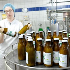 Milchproduktion auf dem Hof Mahlitzsch