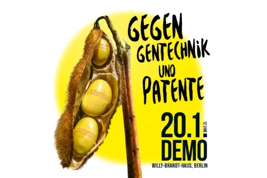 Reife Sojabohnen mit der Aufschrift Patented. Text: Gegen Gentechnik und Patente. 20.1. Demo Willy-Brandt-Haus, Berlin. Bild: Kampagne Meine Landwirtschaft