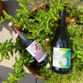 Eine Kolle-Mate Flasche und eine Flasche Jubiläumssecco der VG