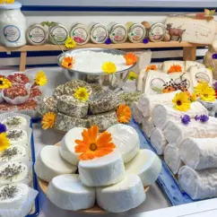Ziegenkäse-Sortiment mit Blüten dekoriert in einer Theke