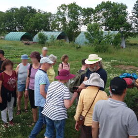 Eine Gruppe Menschen besucht gemeinsam mit Oliver Leipacher die Felder auf dem Auenhof