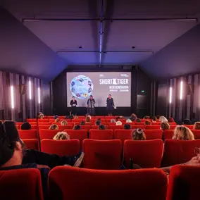 Menschen sitzen in einem Kinosaal, während vorn drei Menschen auf der Bühne stehen und ein Film gezeigt wird.