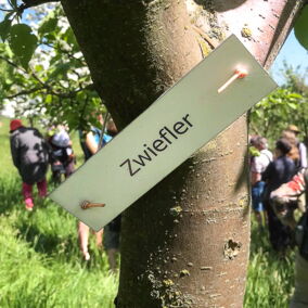 Ein Apfelbaum mit Schild "Zwiefler" im Hintergrund Menschen