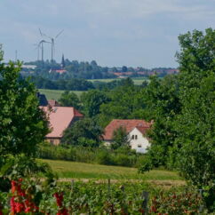 Blick über Felder auf den Obsthof Beerenbunt