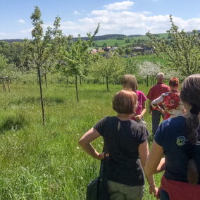 Menschen laufen auf Streuobstwiese
