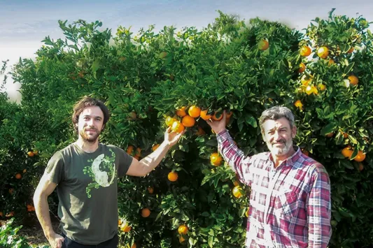 Oscar und Jonás Morell stehen vor einem Orangenbaum mit reifen Früchten