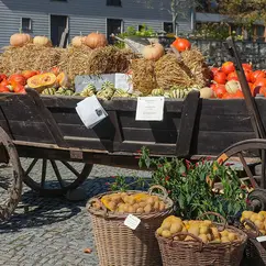 Kürbisse und Kartoffeln auf einem Wagen