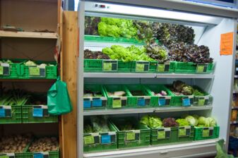Frische regionale Salate und Gemüse in der Kühlauslage