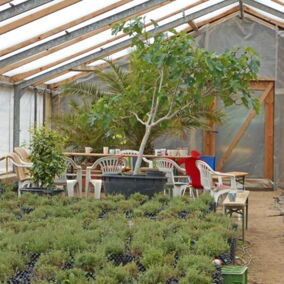 Blick in ein Gewächshaus mit Bio-Kräutern und einer Sitzgruppe