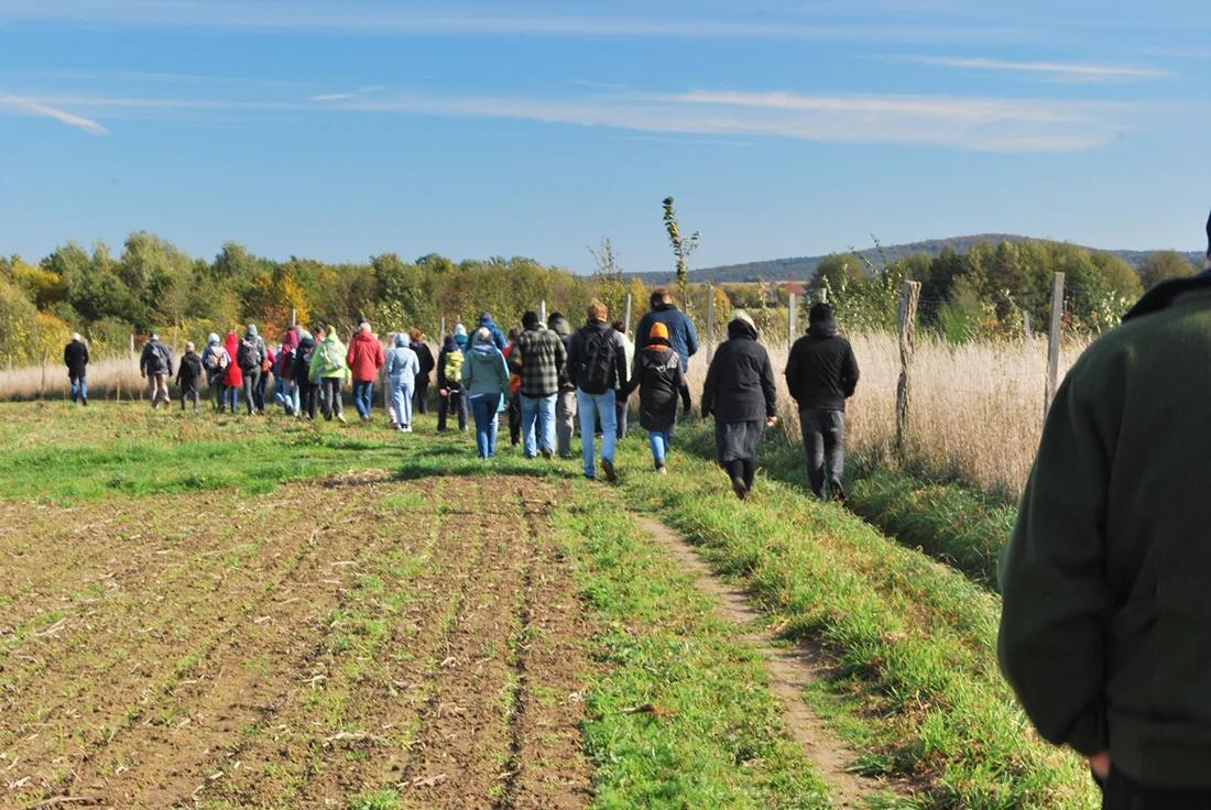 Teilnehmende der Regionalbusfahrt laufen über ein Feld
