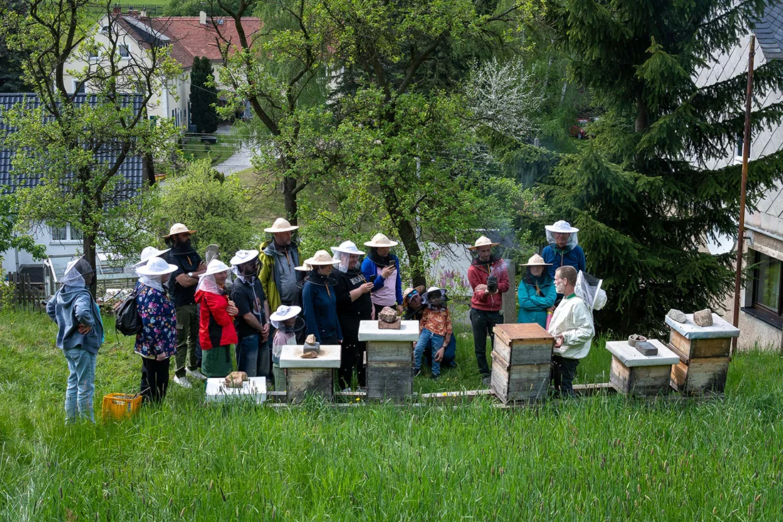 Eine Gruppe Menschen trägt Imkerhüte und besichtigt die Bienenbauten bei Imker Malte Eismann