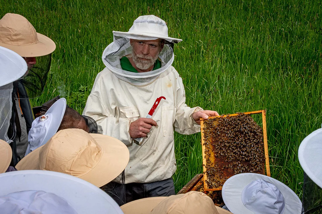 Imker trägt Imkerkleidung und zeigt die Pflege eines Bienenstocks, ringsum stehen Zuschauer:innen mit Imkerhüten