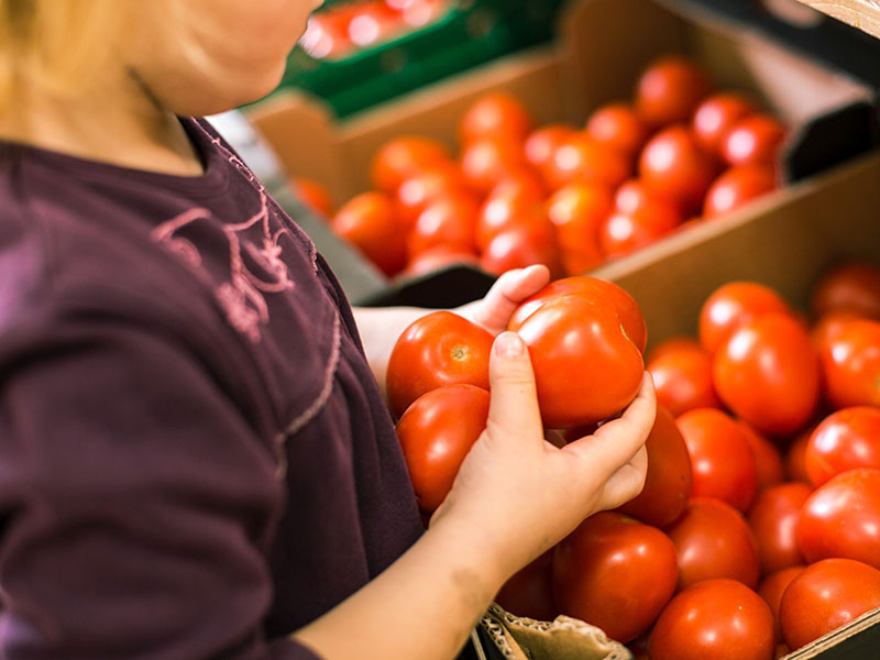 Kind hält Tomaten