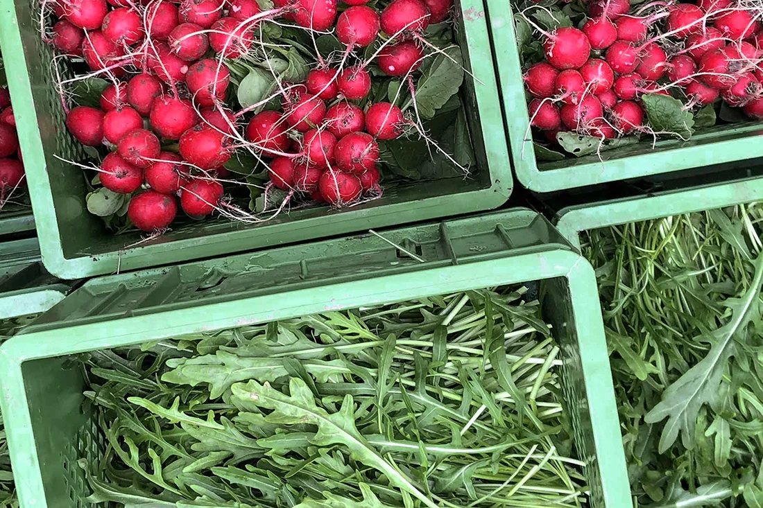 Frische Radieschen und Rucola in Mehrweg-Gemüseboxen