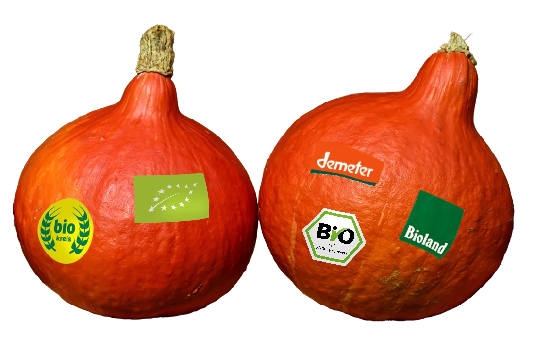 Zwei Kürbisse mit dem EU-Bio-Siegel, dem staatlichen Bio-Siegel und den Logos der Bio-Anbauverbände Demeter, Bioland und Biokreis darauf