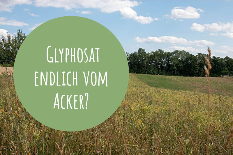 Ein Acker mit Getreide. Enthält Text: Glyphosat endlich vom Acker?