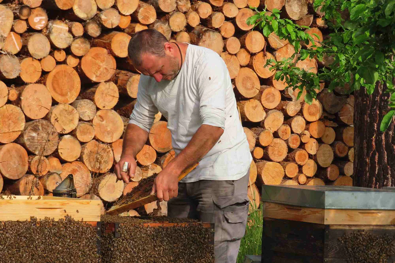 Imker Ronny Kern bei der Arbeit am Bienenstock