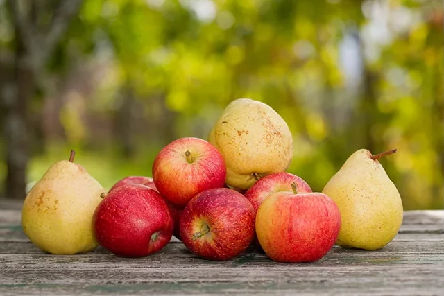 Äpfel und Birnen auf Holz