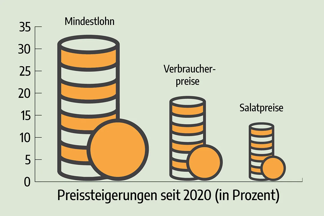 Grafische Darstellung von Preissteigerungen bezüglich Mindestlohn, Verbraucherpreis und Salatpreisen von 2020-2024