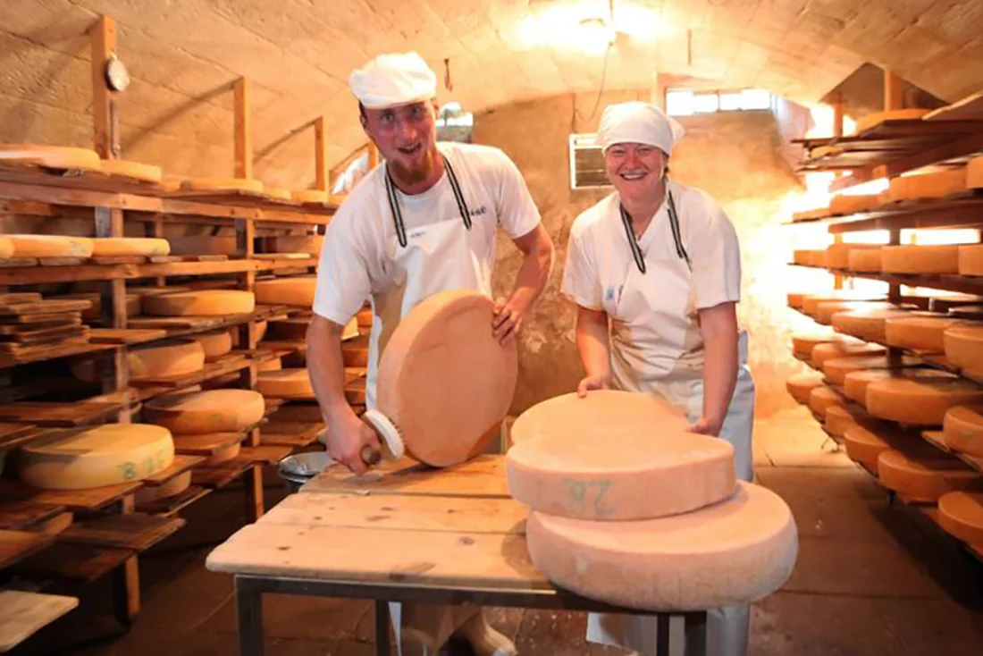Ein Mann und eine Frau stehen im Käsekeller und bürsten Käselaibe