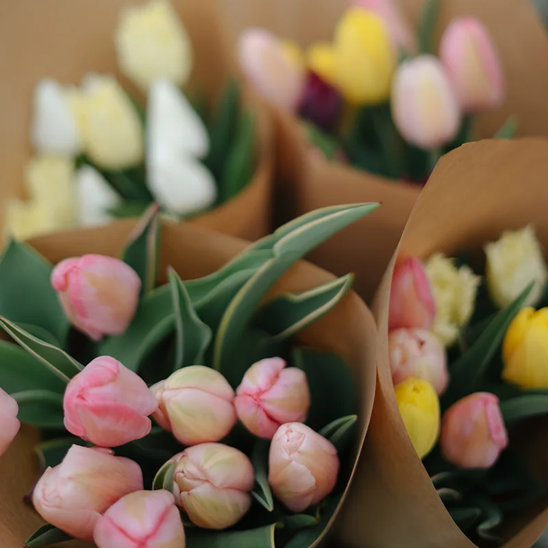 Tulpen von Bei den Blumen