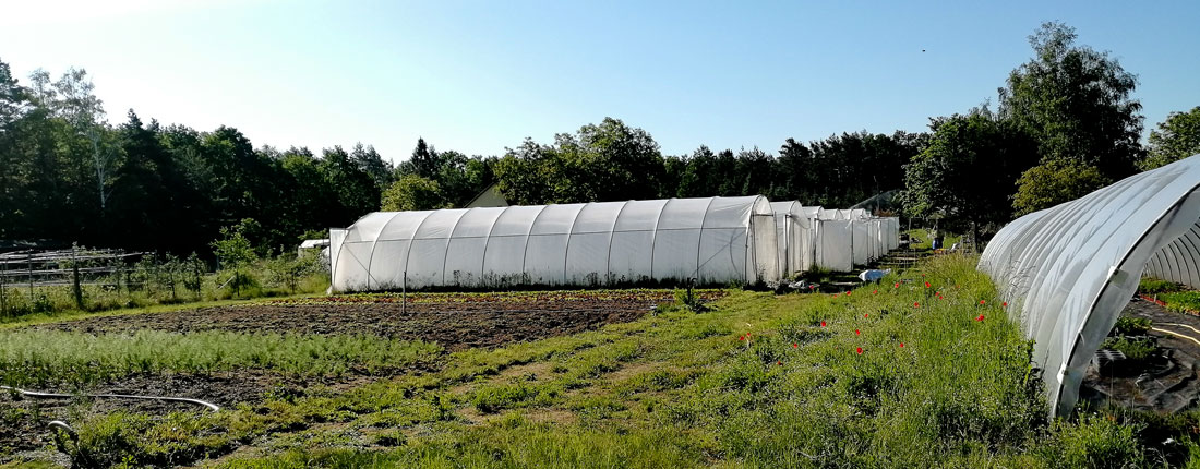 Felder und Folientunnel der Biogärtnerei Kühnel
