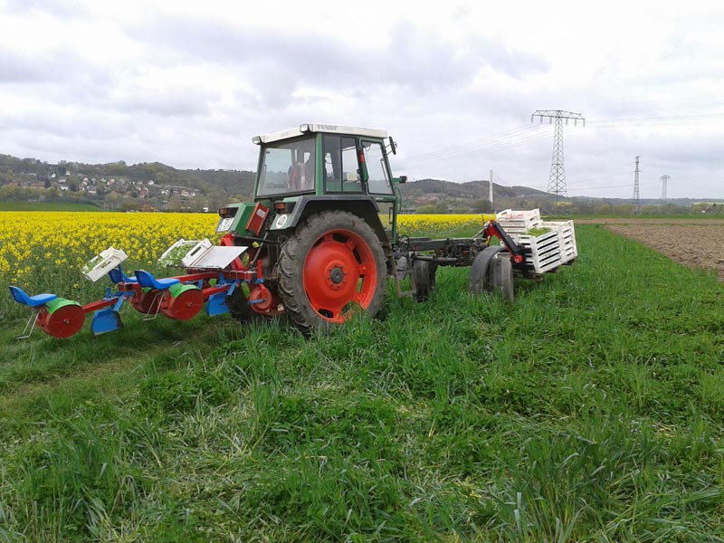 Traktor auf einem grünen Feld