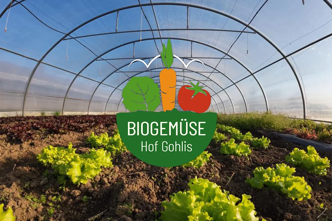 Logo des Biogemüsehof Gohlis, im Hintergrund Salat in einem Folientunnel