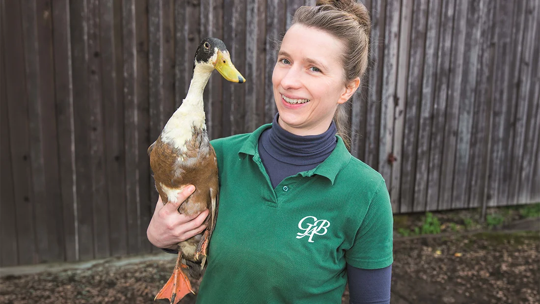 Mitarbeiterin der Bio-Geflügelaufzucht Bartsch hält eine Ente auf dem Arm