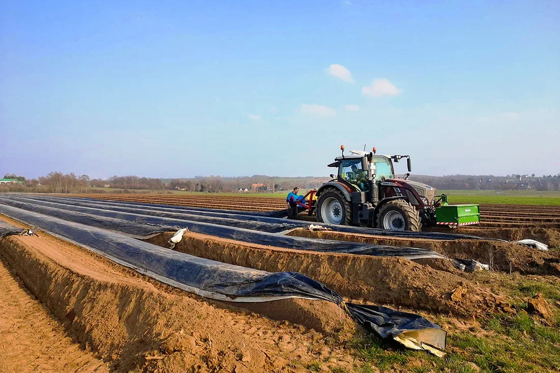 Traktor fährt auf dem Spargelfeld des Spargelhof Schertenleib