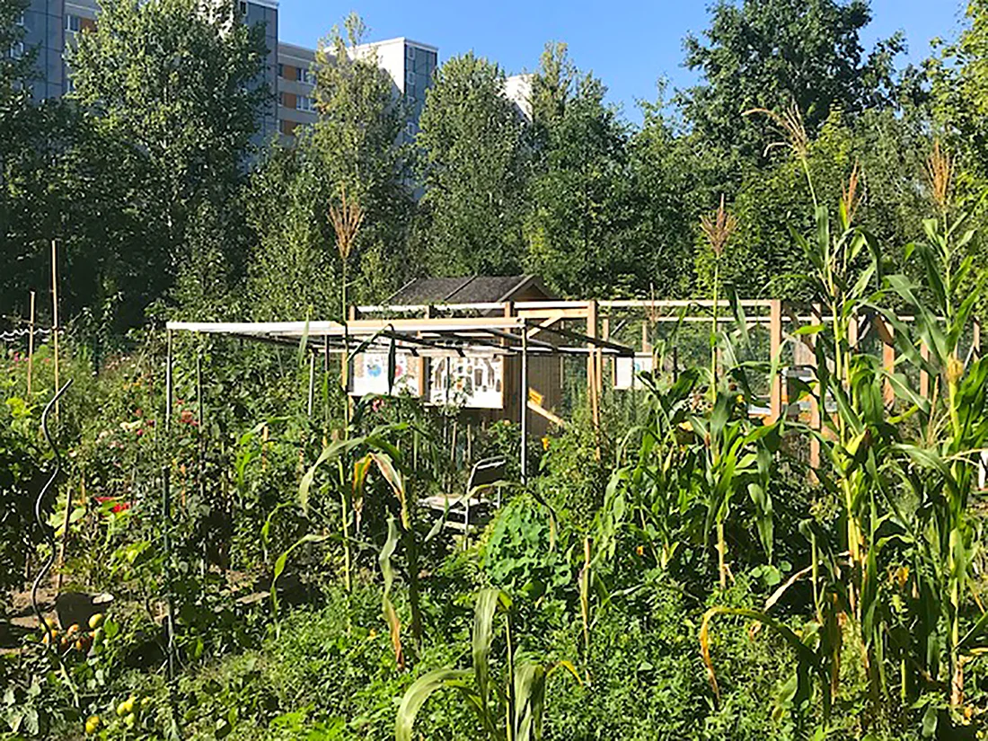 Standort der Stockwerk Imkerei in Dresden Johannstadt