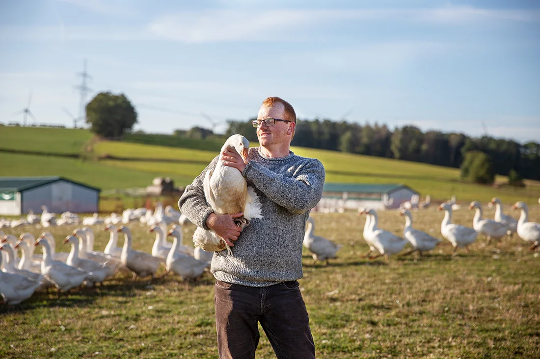 Tobias Uhlig hält eine Gans auf dem Arm und steht auf einer Weide, im Hintergrund Gänse