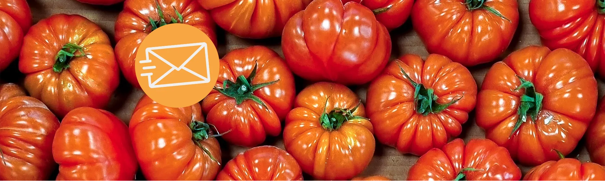 Tomaten und ein Email-Icon auf orangenem Störer